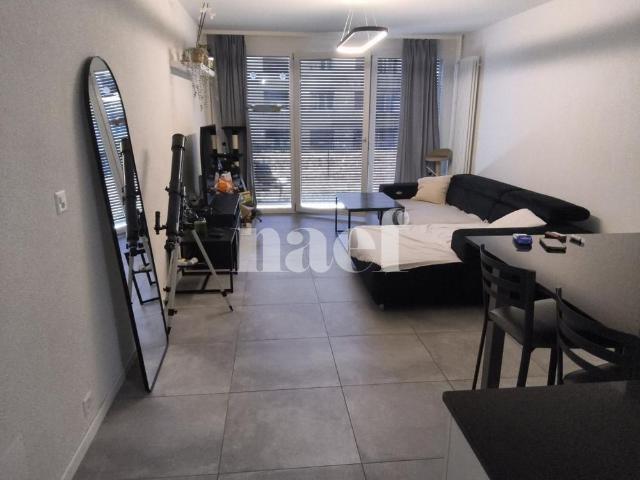 3 Zimmer, 70 m², EG