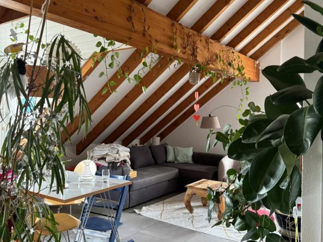 3 Zimmer, 70 m²