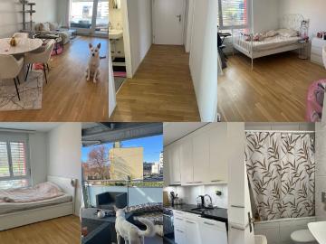 Wohnung mieten in Zollikofen