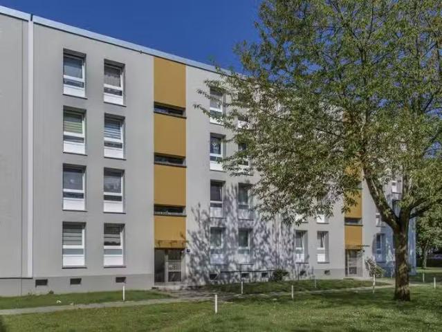 3 Zimmer 72 m² 659 € Kaltmiete Wohnungen in Dortmund