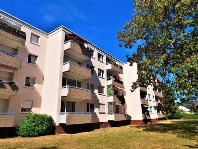 3 Zimmer 72 m² 659 € Kaltmiete Wohnungen in Frankenthal.