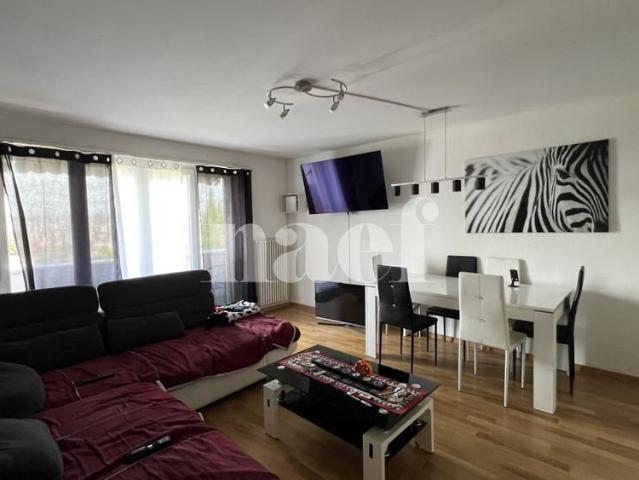 3 Zimmer, 77 m², 1. Stock