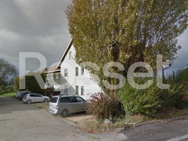 3 Zimmer, 74 m², 1. Stock
