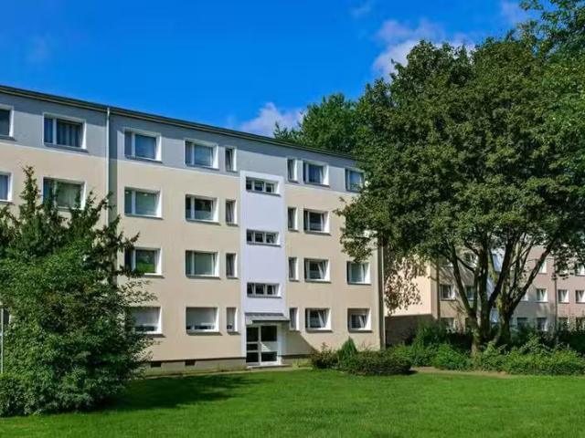 3 Zimmer 74 m² 699 € Kaltmiete Wohnungen in Moers
