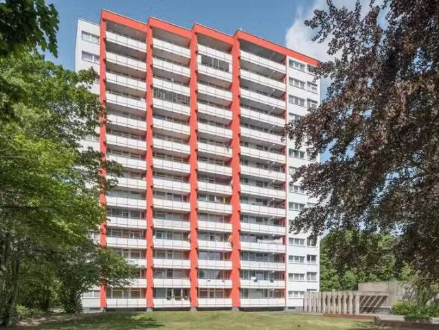 3 Zimmer 74 m² 639 € Kaltmiete Wohnungen in Braunschweig