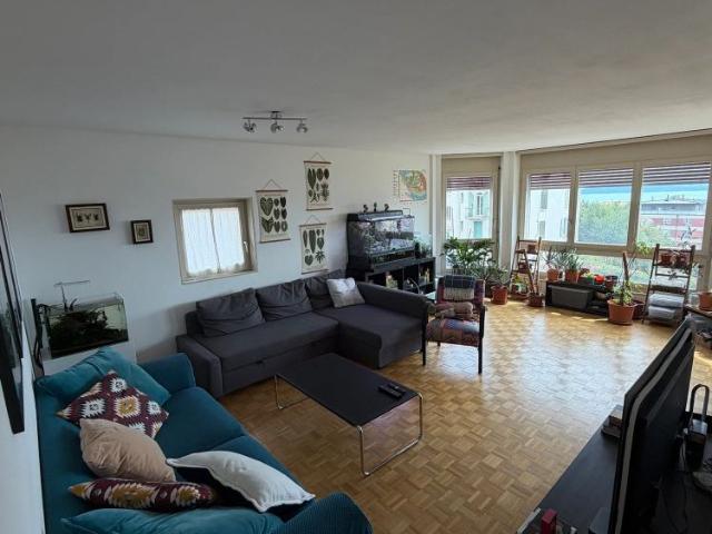3 Zimmer, 75 m²