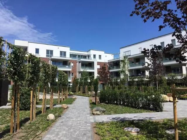 3 Zimmer 79 m² 798 € Kaltmiete Wohnungen in Ochtrup