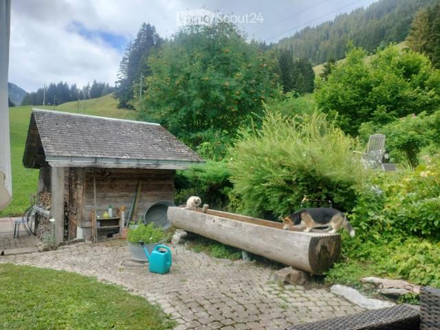 3 Zimmer, 80 m²