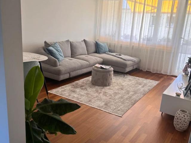 3 Zimmer, 80 m²