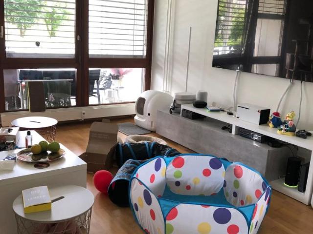 3 Zimmer, 80 m²