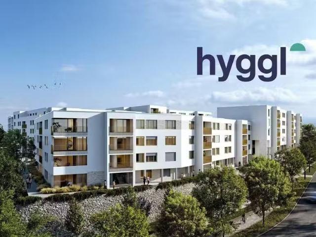 3 Zimmer 87 m² 1.174 € Kaltmiete Wohnungen in Kassel