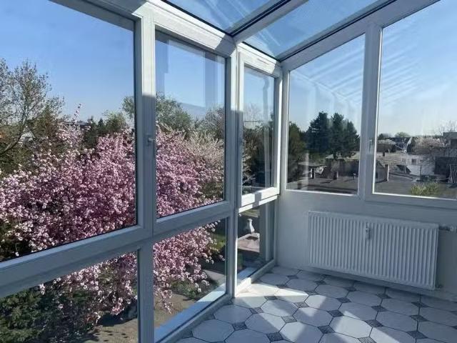 3 Zimmer 185 m² 1.850 € Kaltmiete Wohnungen in Köln