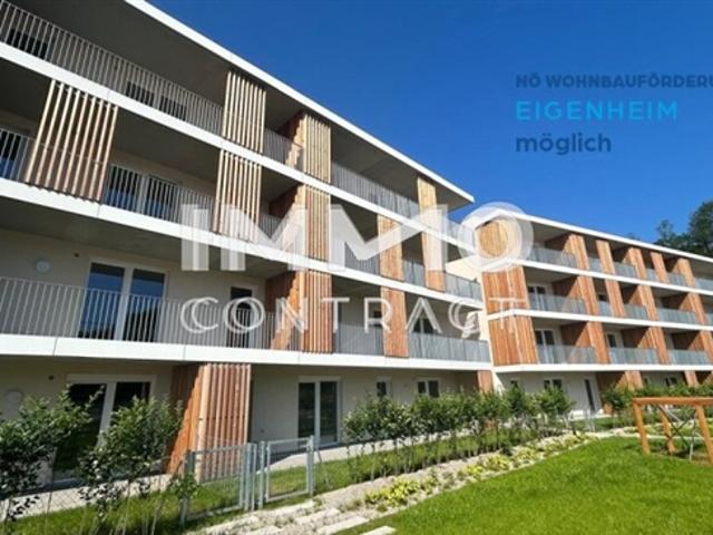 3 Zimmer und 18m² Loggia!