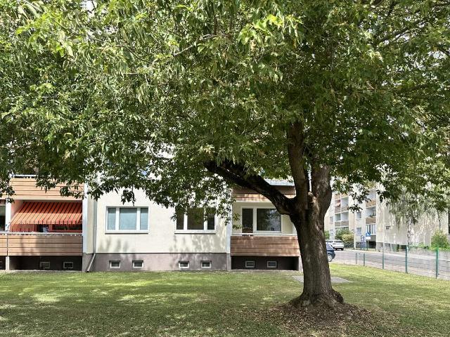 3 Zimmer Whg. in Stadtfeld in ruhiger, grüner Lage