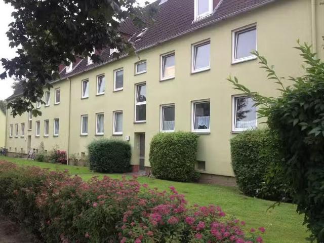 3 Zimmer Wohnung mieten in Glückstadt 25348 52,53 m²