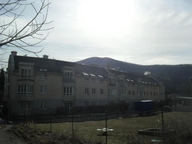 3 Zimmer Wohnung mit Terrasse, Top 113