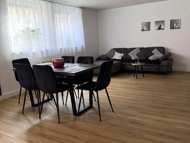 3 Zimmer Wohnung mit Terrasse, Holzofen & neuem Bad