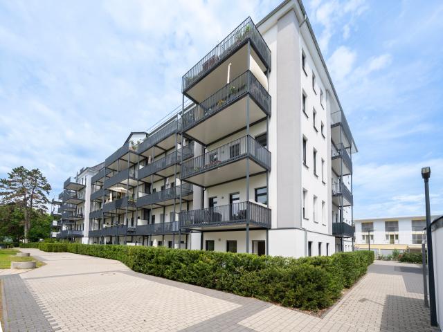 3 Zimmer Wohnung mit Terrasse in Offenbach