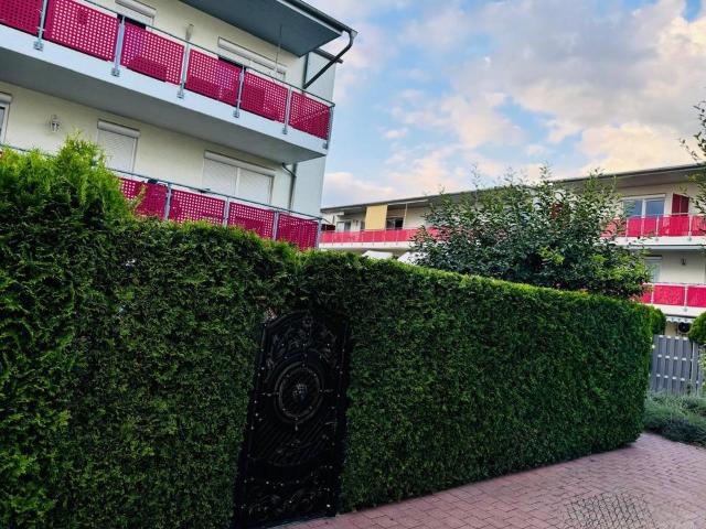 3 Zimmer Wohnung mit Garten