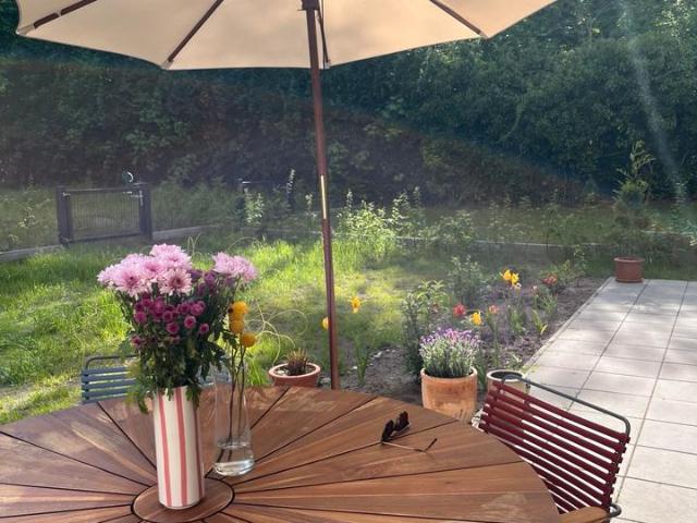 3 Zimmer Wohnung mit Garten