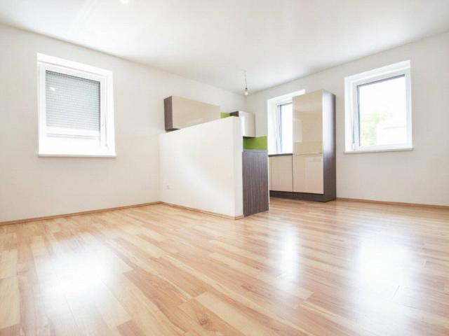 3 Zimmer Wohnung mit Gartenbenutzung zu vermieten