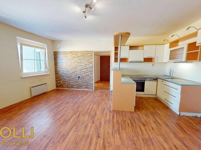 3 Zimmer Wohnung mit Garagen Stellplatz bereit für Neuschliff