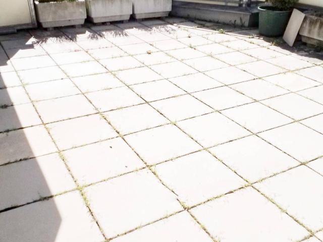 3 Zimmer Wohnung mit großer Terrasse in Zistersdorf