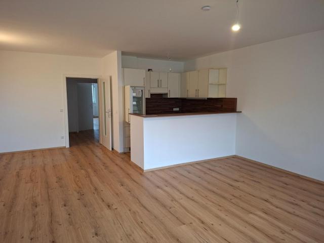 3 Zimmer Wohnung mit Küche in Wels/Neustadt zu vermieten