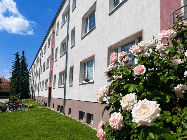 3 Zimmer Wohnung mit separater Küche und Badewanne, renoviert, ab sofort