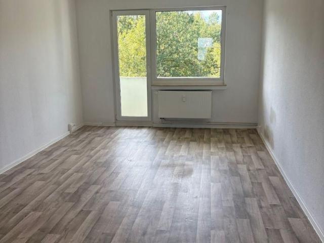 3 Zimmer Wohnung ab sofort