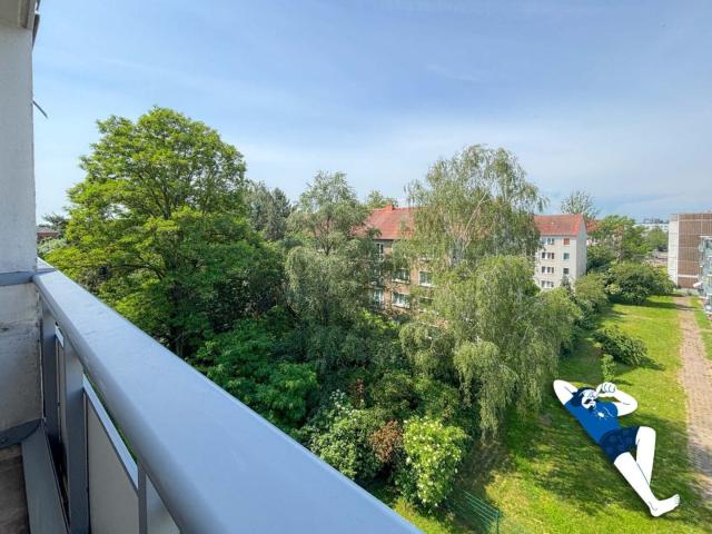 3 Zimmer Wohnung in Magdeburg Neue Neustadt