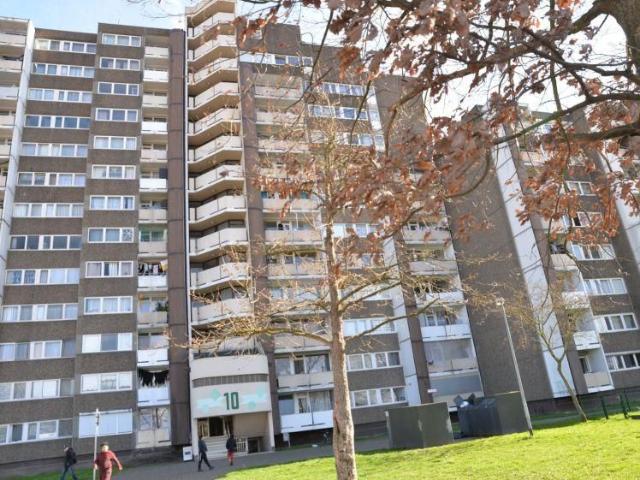3 Zimmer Wohnung in Meschenich