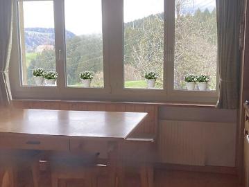 3½ Zimmer Wohnung in Mirchel BE, möbliert, auf Zeit