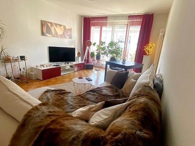 3 Zimmer Wohnung in Basel Gellert/St. Alban, möbliert, auf Zeit