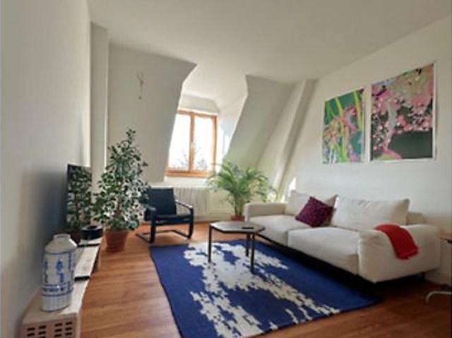 3½ Zimmer Wohnung in Basel Iselin, möbliert, auf Zeit