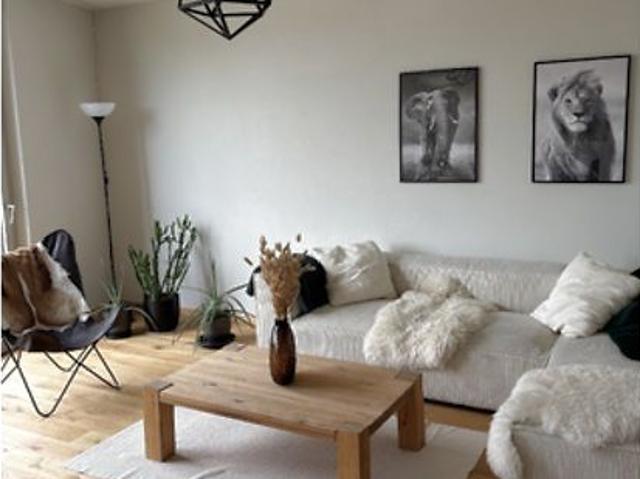 3½ Zimmer Wohnung in Biel/Bienne BE, möbliert, auf Zeit