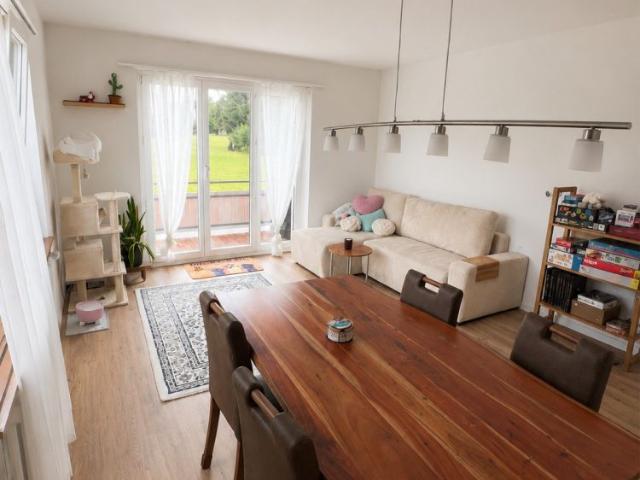 3 ½ Zimmer Wohnung in Boswil mieten