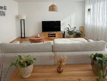 3½ Zimmer Wohnung in Brunnen SZ, möbliert, auf Zeit