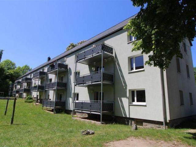 3 Zimmer Wohnung in der 1. Etage mit Balkon wartet auf neue Mieter