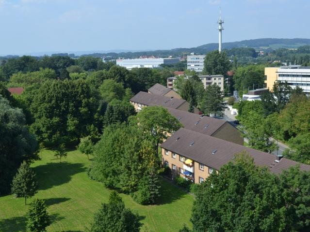 3 Zimmer Wohnung in Detmold Knochenbach