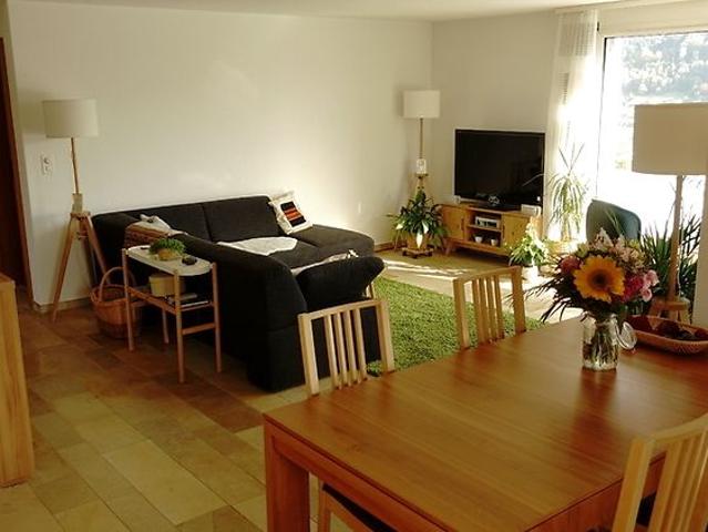 3½ Zimmer Wohnung in Ebikon LU, möbliert, auf Zeit