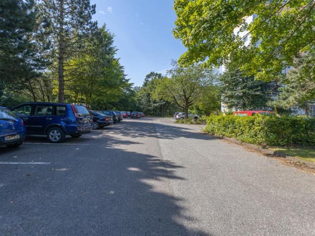 3 Zimmer Wohnung in Flensburg Mürwik