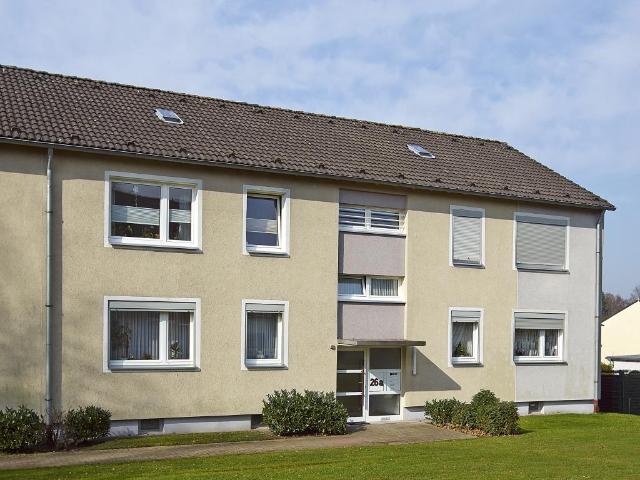3 Zimmer Wohnung in Gerthe