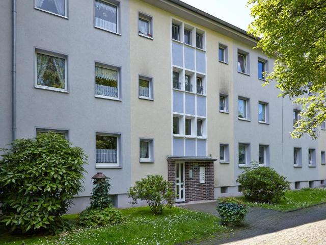 3 Zimmer Wohnung in Grumme