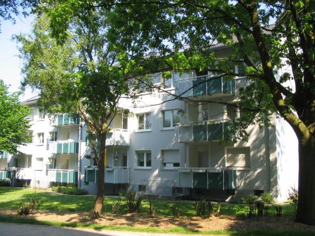 3 Zimmer Wohnung in Harpen