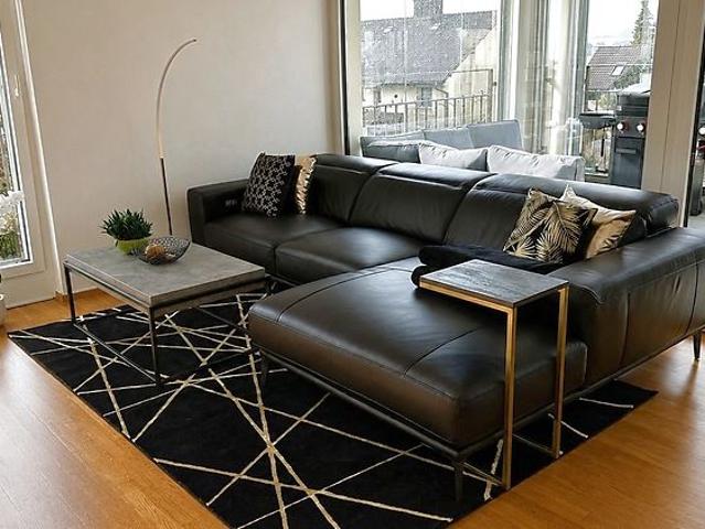 3½ Zimmer Wohnung in Hedingen ZH, möbliert, auf Zeit