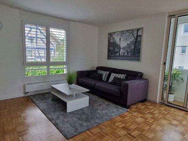 3½ Zimmer Wohnung in Langwiesen ZH, möbliert, auf Zeit