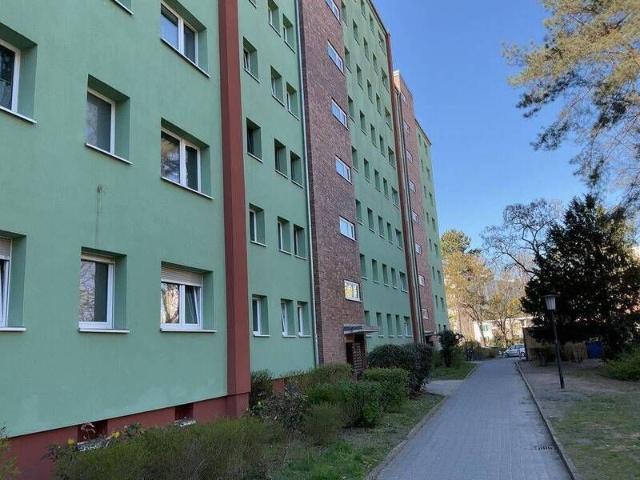 3 Zimmer Wohnung in Spandau