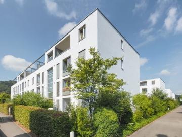 3 ½ Zimmer Wohnung in Spreitenbach mieten