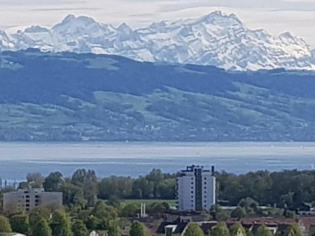3 Zimmer Wohnung in Traumlage mit Küche und Terrasse